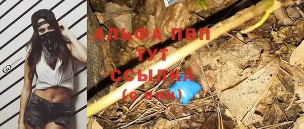 PSILOCYBIN Липки
