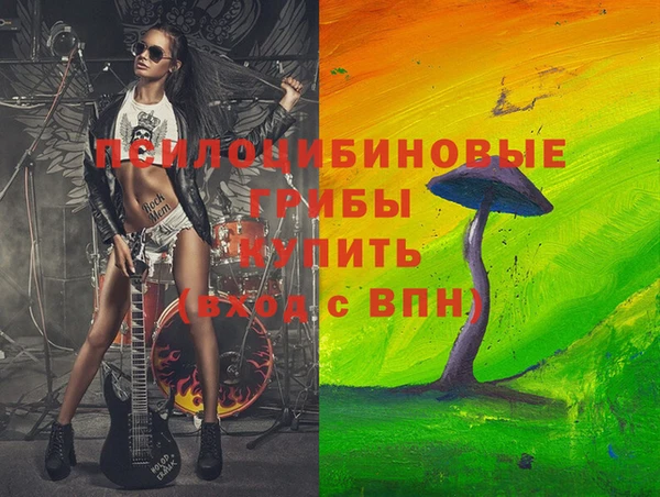 PSILOCYBIN Липки