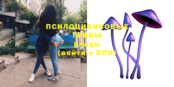PSILOCYBIN Липки