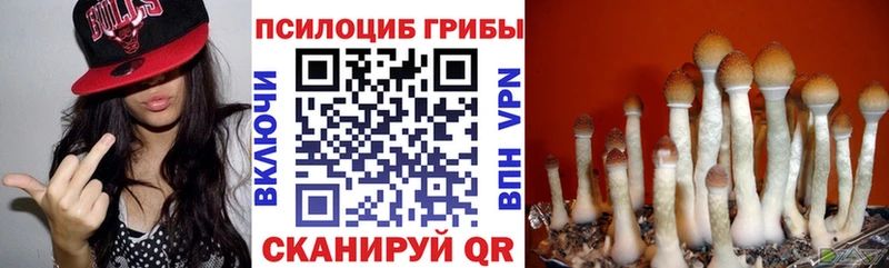 купить наркотики цена  Пермь  Псилоцибиновые грибы Psilocybine cubensis 