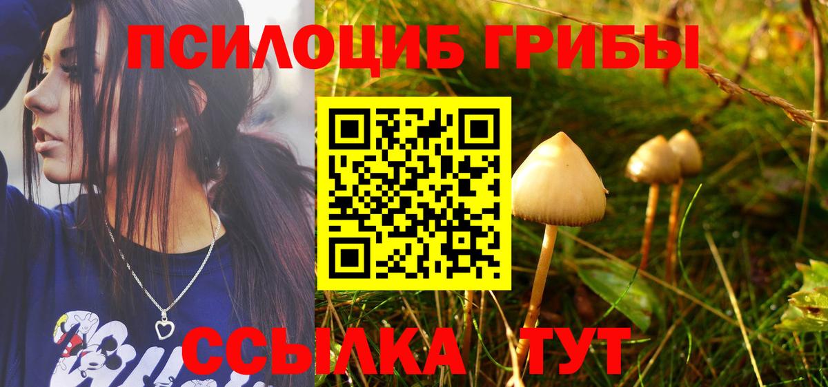 Пермь  где купить наркоту  Вход с VPN  Псилоцибиновые грибы мицелий 