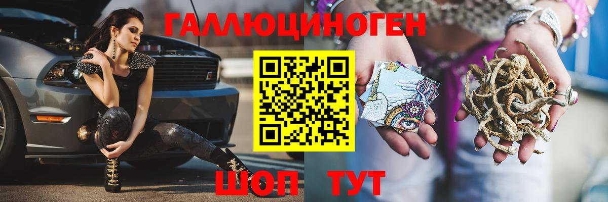 Галлюциногенные грибы Psilocybine cubensis  Псилоцибиновые грибы Psilocybe  Пермь 